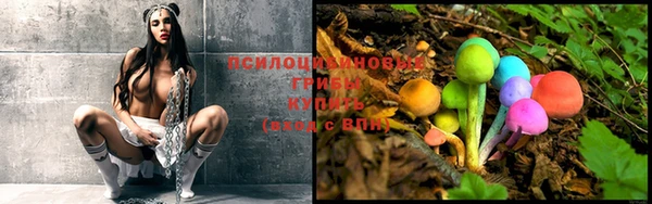 спиды Карпинск