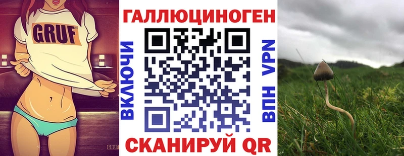это клад  Лиски  Галлюциногенные грибы Psilocybe 