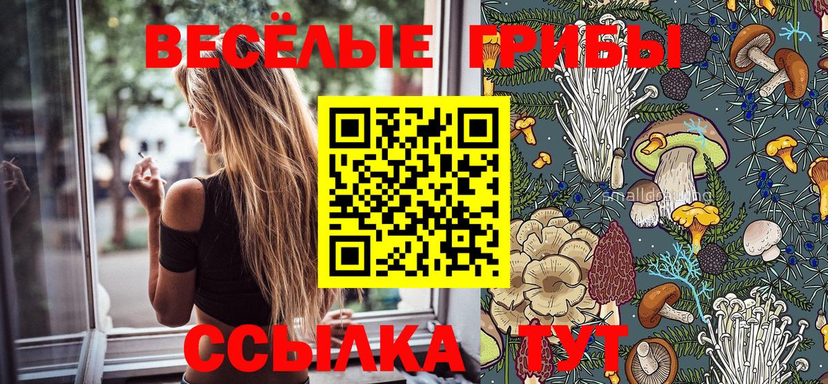 Галлюциногенные грибы ЛСД  Вход с VPN  Лиски 